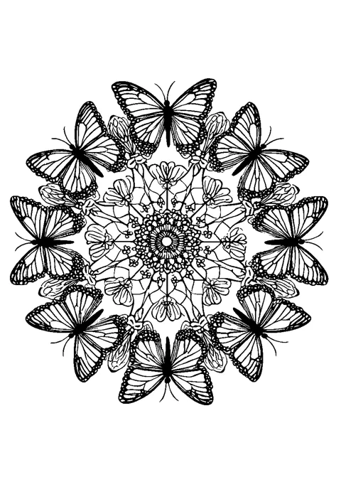 Coloriage : Le mandala de papillons